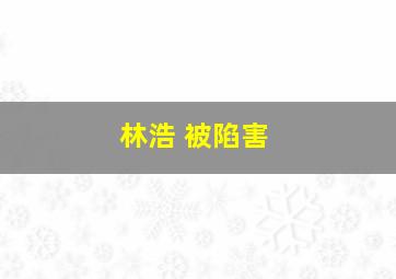 林浩 被陷害